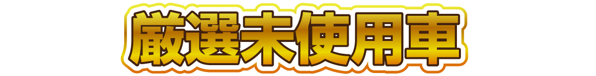 厳選未使用車