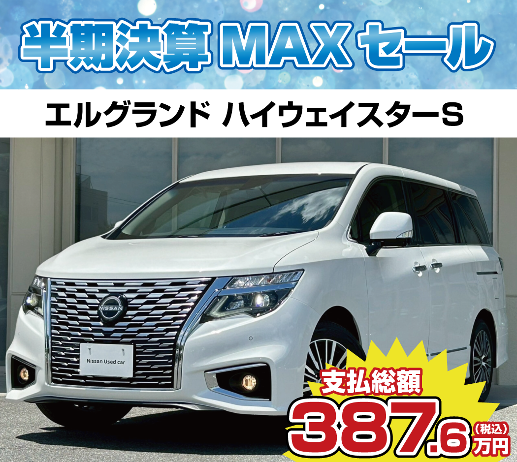 エルグランド ナビなし