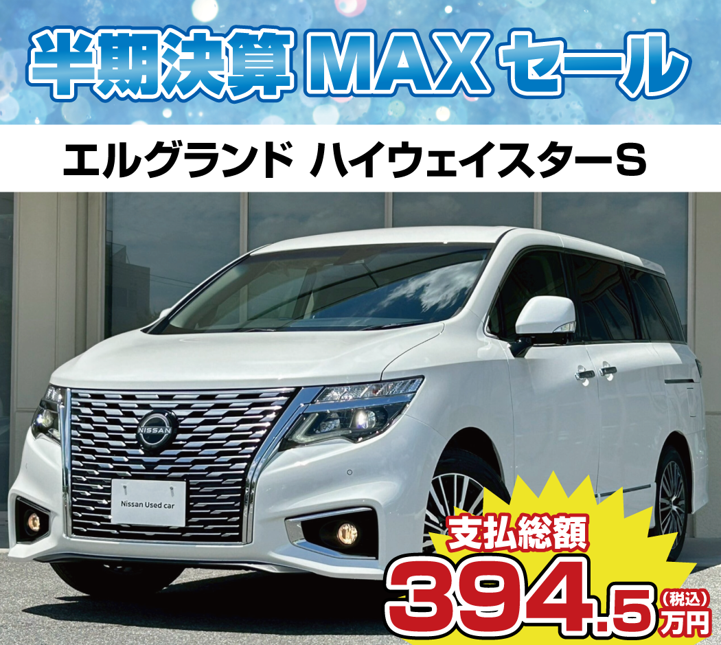 エルグランド ナビなし