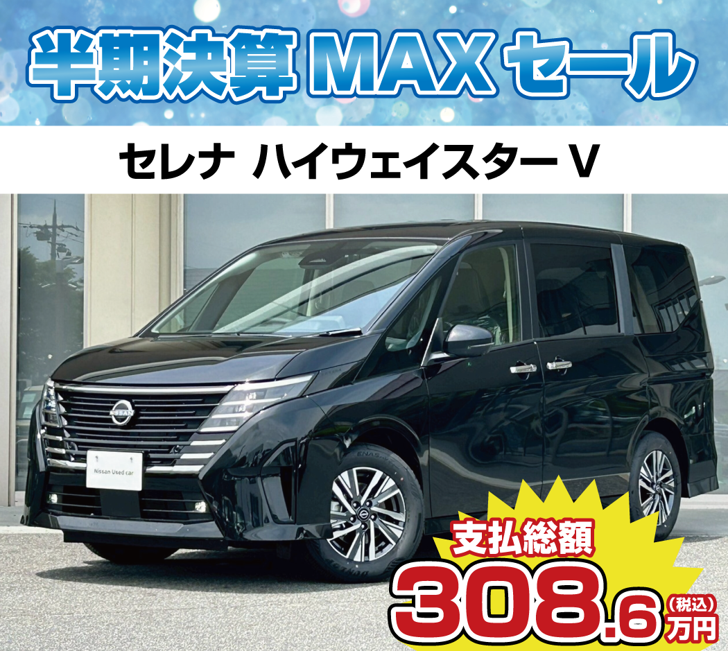 セレナ ナビなし